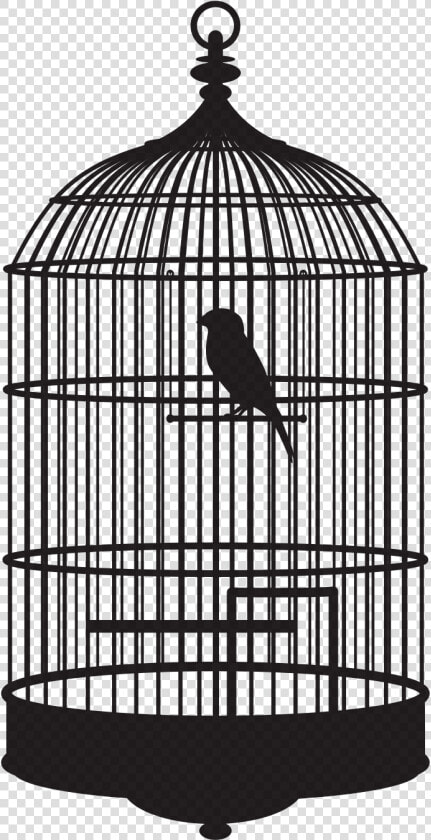 Bird In A Cage Bird In Cage Png   Bird In Cage Gif  Transparent PngTransparent PNG