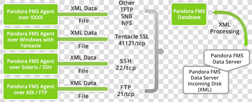 Pandora Fms Architecture  HD Png DownloadTransparent PNG