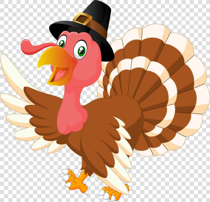 Turkey Cartoon Royalty free   Thanksgiving Turkey Transparent Background  HD Png DownloadTransparent PNG