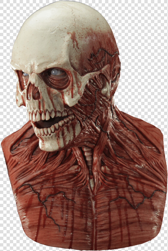 Silicone Flesh Skull Mask  HD Png DownloadTransparent PNG