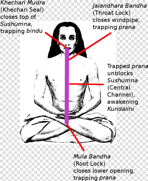 Khecarī Mudrā  HD Png DownloadTransparent PNG