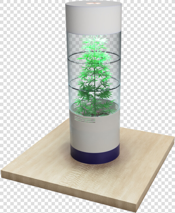 Houseplant  HD Png DownloadTransparent PNG