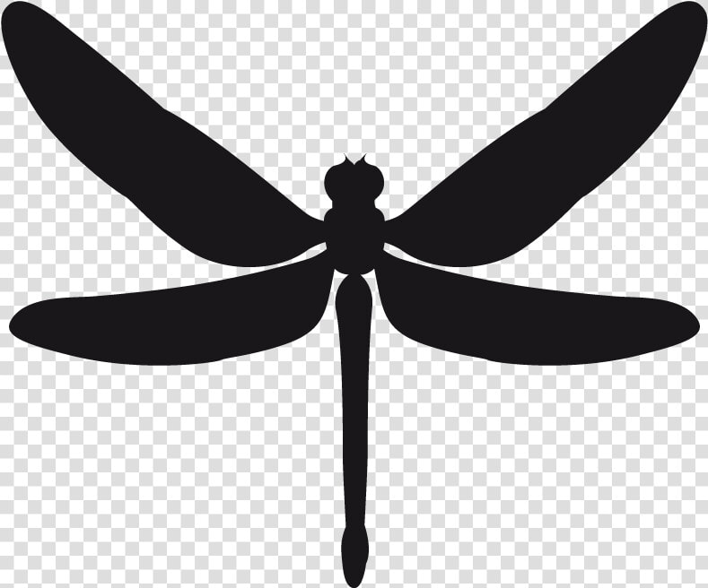 Clip Art Dragonfly Silhouette Images   Трафареты Для Стен Стрекоза  HD Png DownloadTransparent PNG