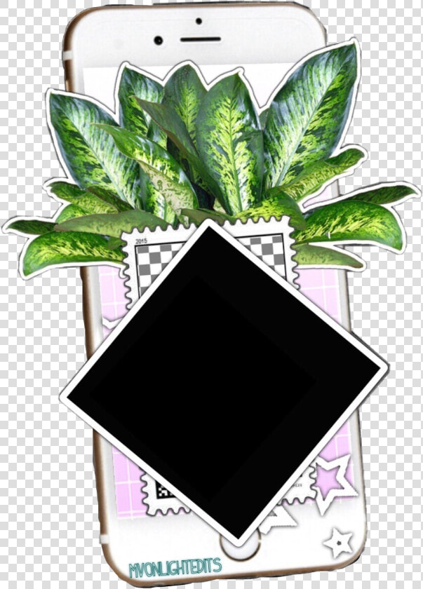 Just A Little Iphone plant editing Sticker For Your   Plant Texture Png  Transparent PngTransparent PNG