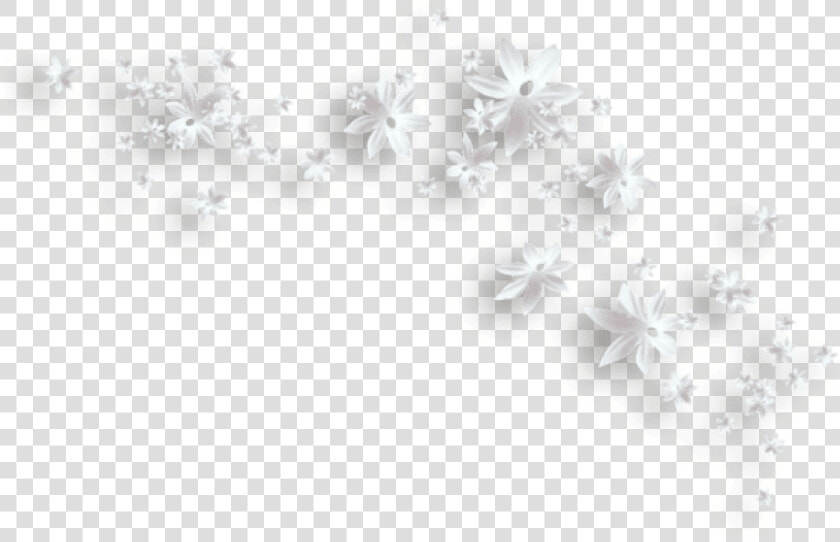 White Flowers Png   White Flowers Clipart Png  Transparent PngTransparent PNG