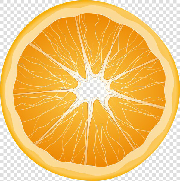 Half Orange Transparent Background   Orange Half Png  Png DownloadTransparent PNG