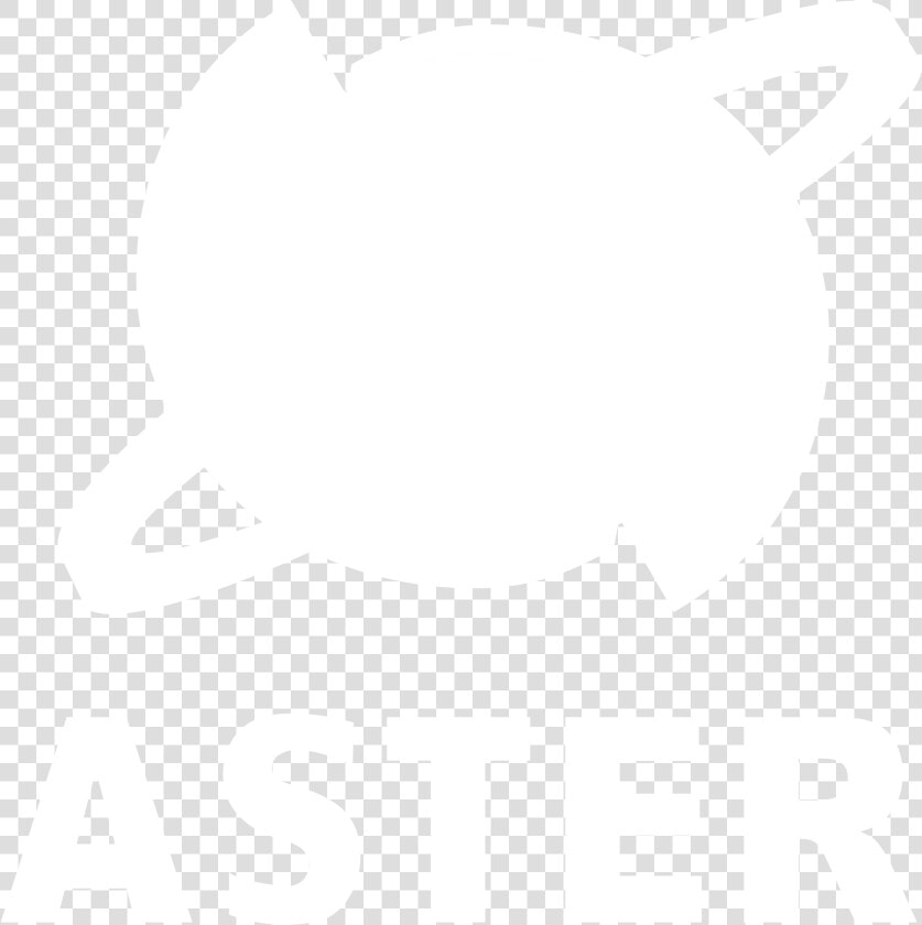 Aster Png  Transparent PngTransparent PNG