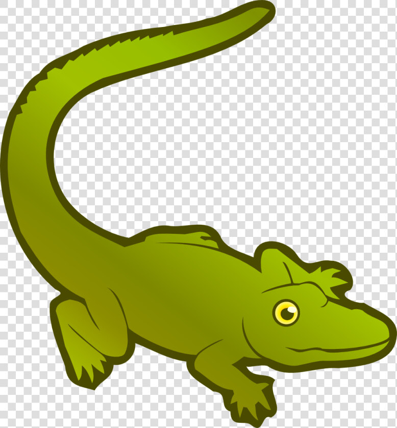 Alligator Png Pic   الزواحف كليب ارت  Transparent PngTransparent PNG