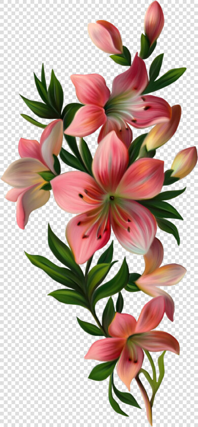  mq  pink  lily  flowers  flower  garden  nature   Flowers With Leaves Png  Transparent PngTransparent PNG