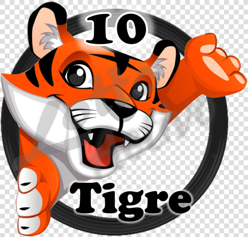 Tigre Png  Transparent PngTransparent PNG