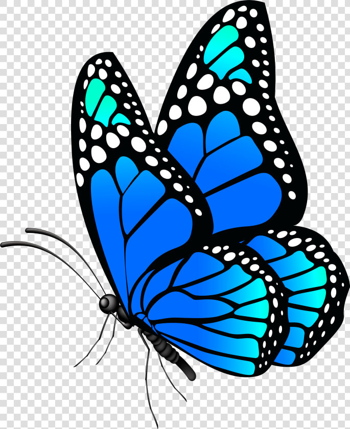 Butterfly Blue Png Clip Art Imageu200b Gallery Yopriceville  Transparent PngTransparent PNG