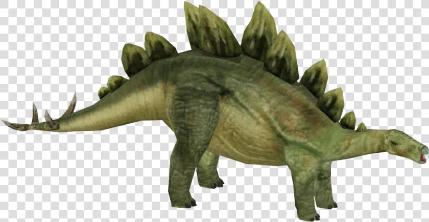 Stego Jpog  HD Png DownloadTransparent PNG