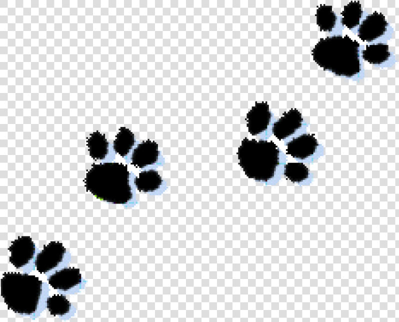 Paw Prints Clipart Cat Paw Print Clipart Kid Clipartix   Paw Prints Clipart Transparent  HD Png DownloadTransparent PNG