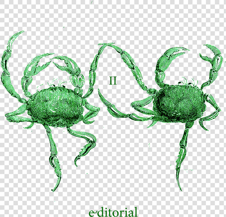 Dancing Crabs  HD Png DownloadTransparent PNG