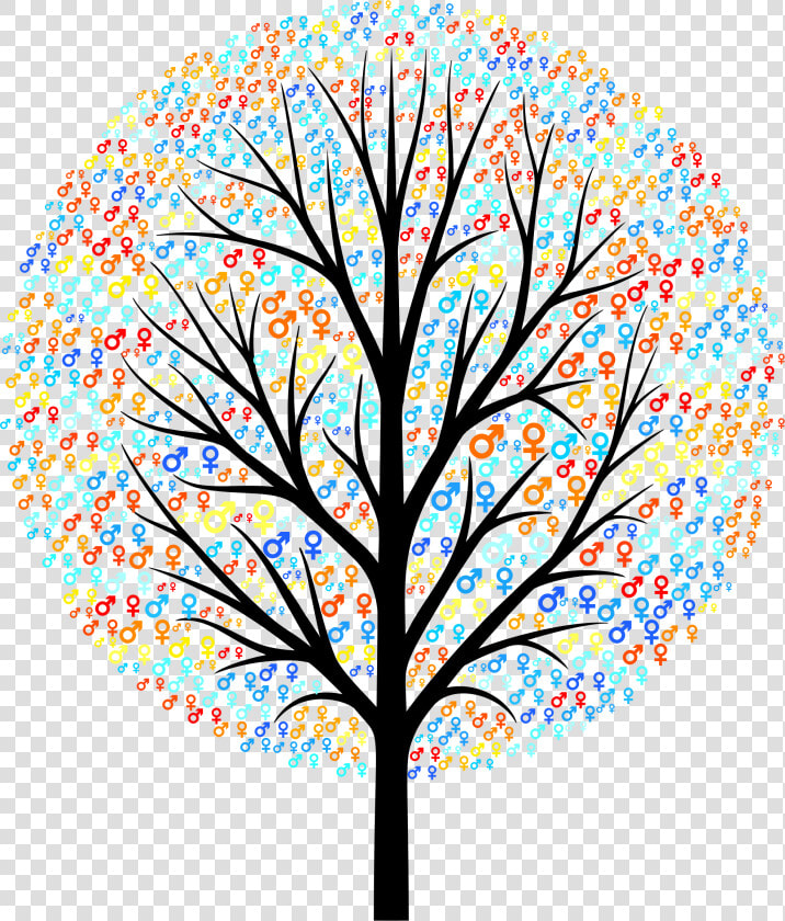 Gender Symbols Tree Clip Arts   Printable Tree Silhouette Free  HD Png DownloadTransparent PNG