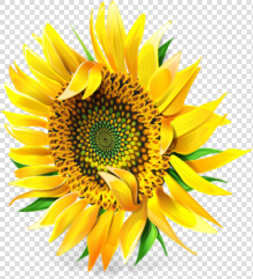 Sunflower Png Free Download   Pixel Sunflower  Transparent PngTransparent PNG