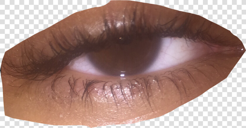 Transparent Sad Eyes Png   Brown Eyes Aesthetic  Png DownloadTransparent PNG