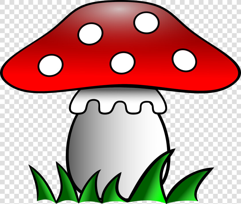 Transparent Fly Clipart Png   Fly Agaric Clipart  Png DownloadTransparent PNG