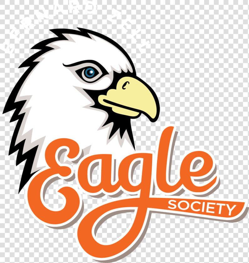 Meet Our Incredible Alumni   Bald Eagle  HD Png DownloadTransparent PNG