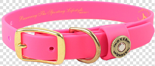 Water Dog Collar Pink   Over And Under Dog Collar  HD Png DownloadTransparent PNG