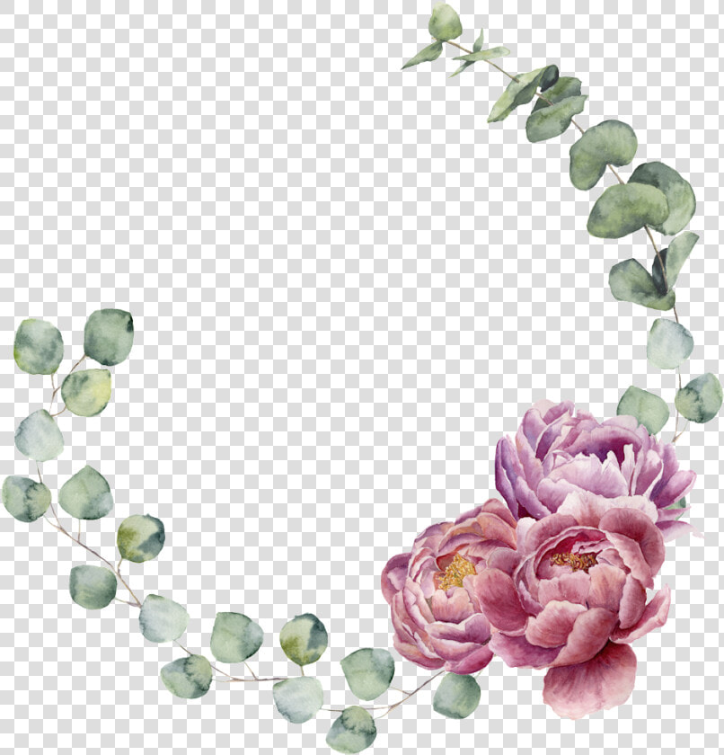 Floral Wreath Watercolor  Watercolor Design  Watercolor   Eucalyptus Border Transparent Background  HD Png DownloadTransparent PNG