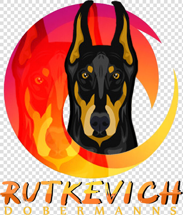 Logo transparent   Dobermann  HD Png DownloadTransparent PNG