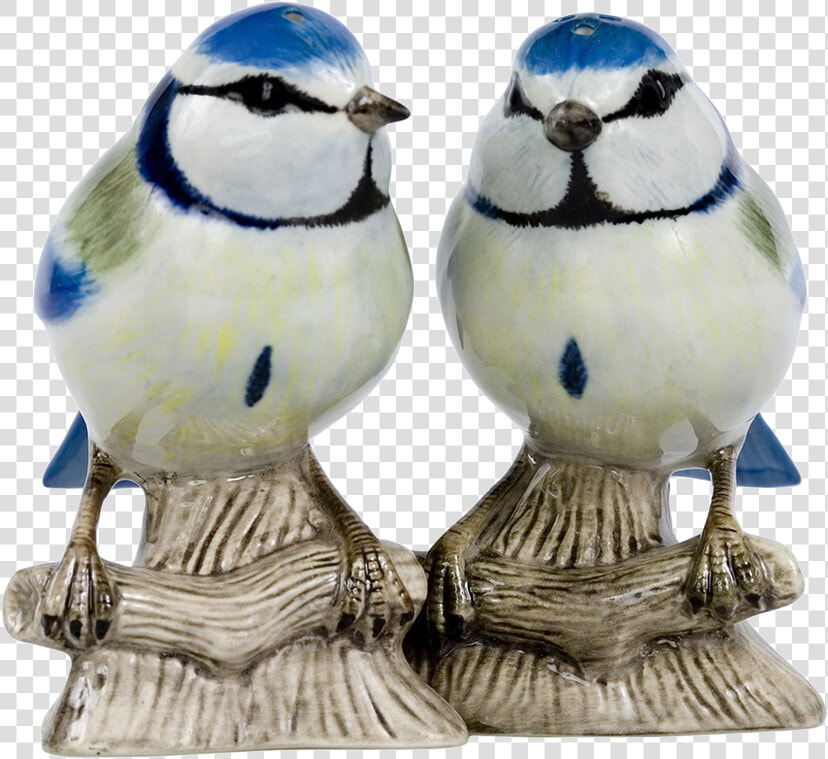 Eurasian Blue Tit  HD Png DownloadTransparent PNG