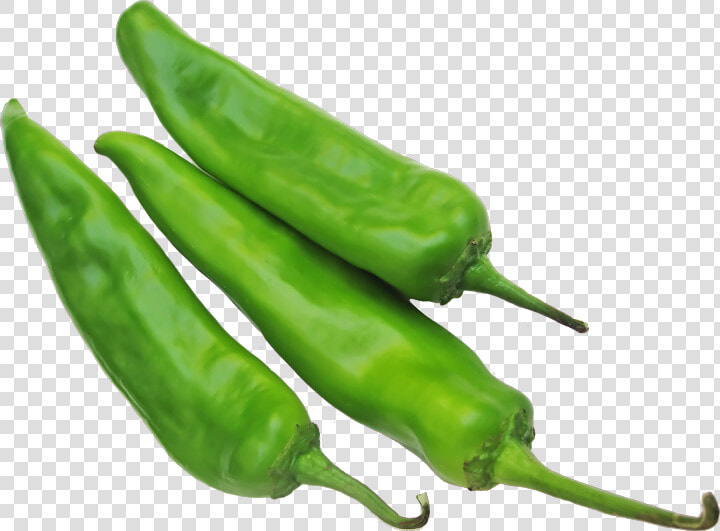 Transparent Green Chili Png   Green Chilli Hd Png  Png DownloadTransparent PNG