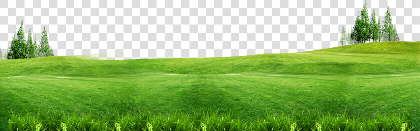 Grass With Flower Background   Grass Background Png  Transparent PngTransparent PNG