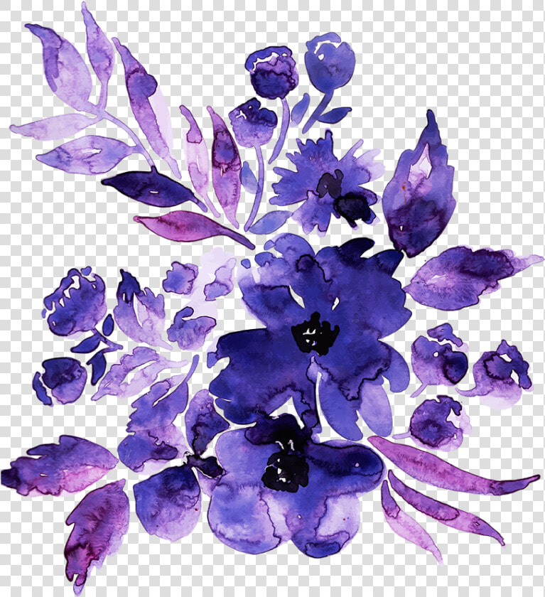 Delphinium  HD Png DownloadTransparent PNG