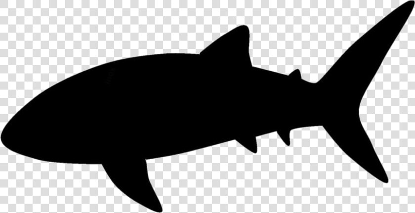 Transparent Whale Shark Clipart  Whale Shark Png Image  Png DownloadTransparent PNG