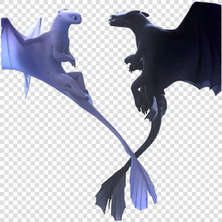  httyd  light Fury  night Fury  toothless  dragon   Httyd Toothless And Light Fury  HD Png DownloadTransparent PNG