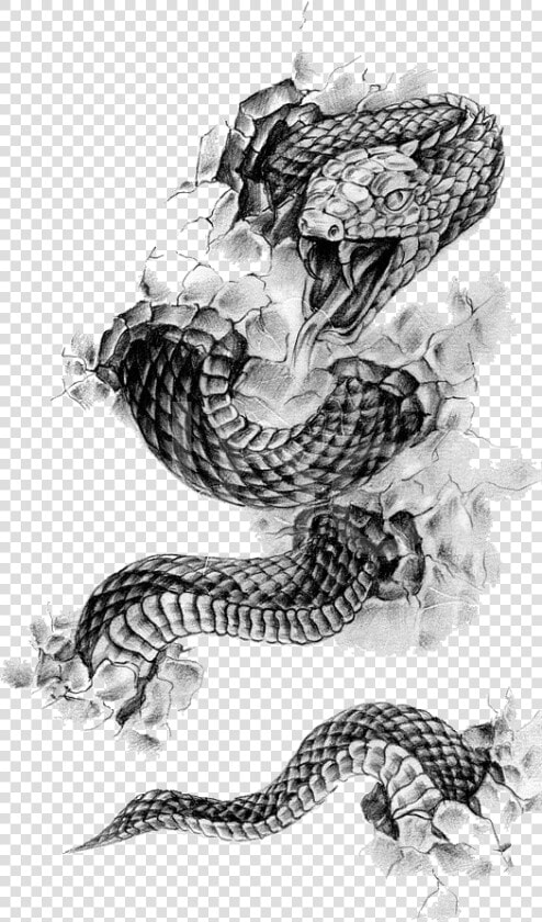 Rattlesnake Tattoo Flash Black And Gray   Snake Tattoo Line Art  HD Png DownloadTransparent PNG