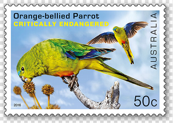 Australia Endangered Animals Stamps  HD Png DownloadTransparent PNG