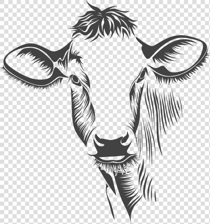 Cabeza  Vaca  Ganado  Animales  Granja   Cow Face On Canvas  HD Png DownloadTransparent PNG