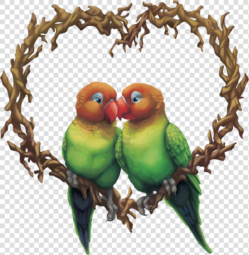 Budgie  HD Png DownloadTransparent PNG